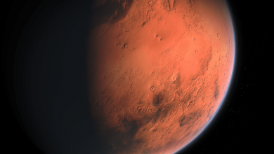 Bases on Mars proposed to build from cosmic dust sweat blood and urine of astronauts