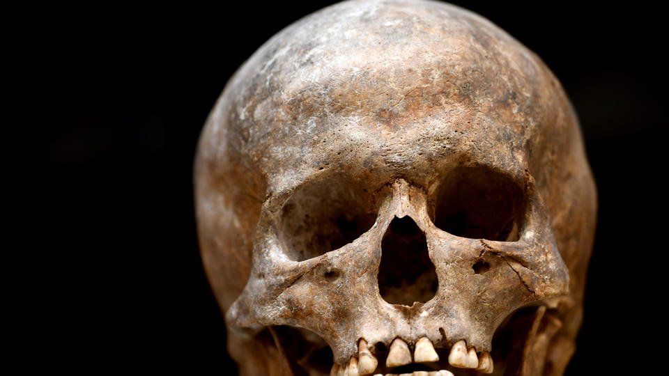 Scientists beat bearded skull and receive the Shnobel Peace Prize