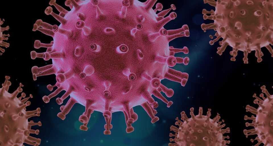 Virologists have identified superhuman immunity against coronavirus