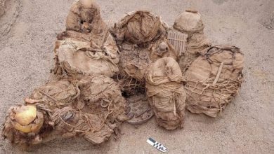 Ancient mummy tomb discovered in Peru