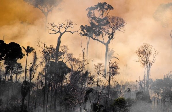 Deforestation in the Amazon unexpectedly grows 22 to its highest level since 2006