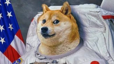 Dogecoin Forecast from Analyst DOGE Will Break These Levels