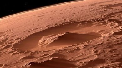 Signs of life found on Mars can be mimicked by nature