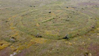 Strange crop circles found near Kerch