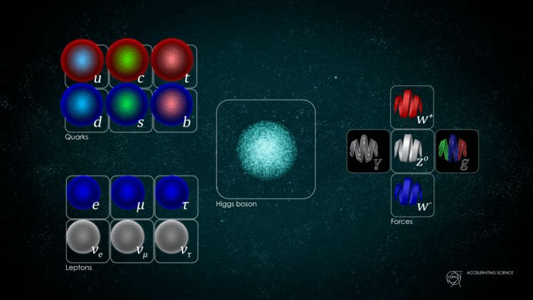 The quantum world how are sterile neutrinos and dark matter related 2