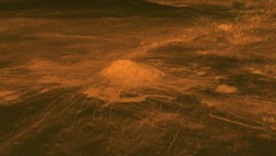 Volcanic activity continues on Venus