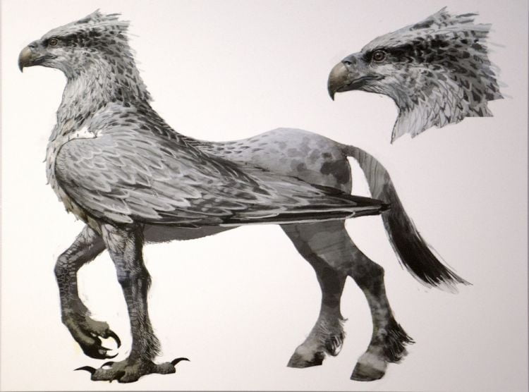 What did the Hippogryph look like 1