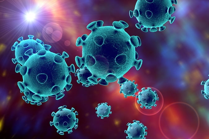 Coronavirus programs the human immune system