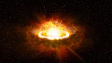 Fastest optical flare from a supernova