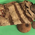 Lice eggs reveal details about South American mummies