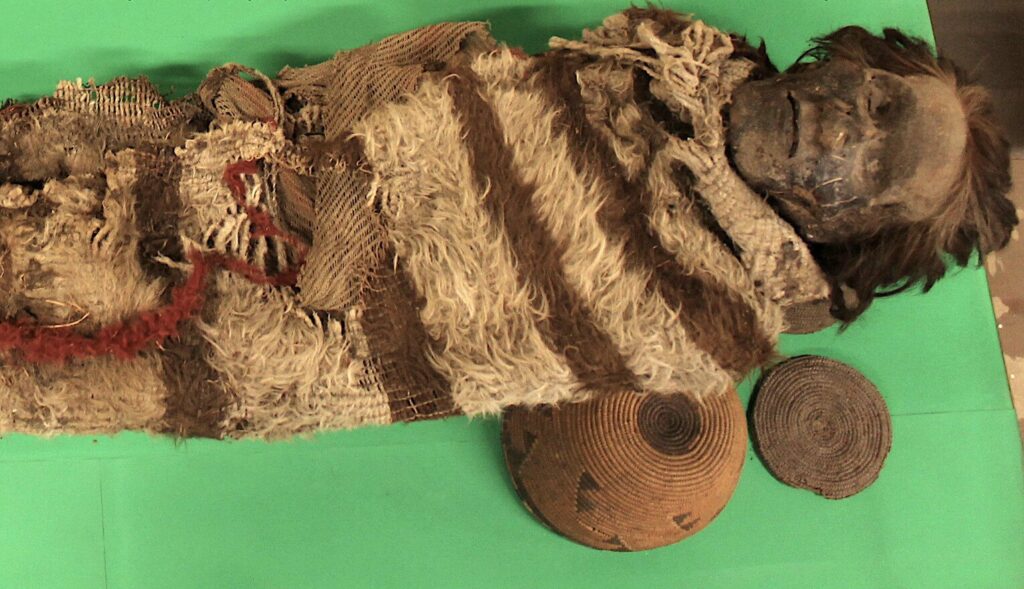 Lice eggs reveal details about South American mummies