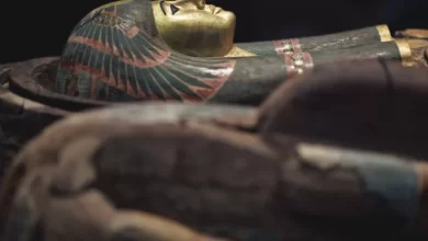 Mummies with golden tongues found in Egyptian tombs