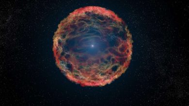 Super bright stellar explosion led to the formation of a black hole or neutron star
