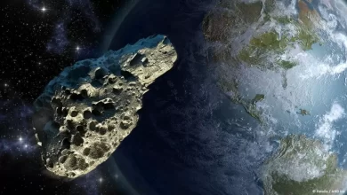 Will there be a collision of the Earth with the asteroid Apophis in 2029