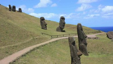 population of Rapa Nui did not have enough dust 2