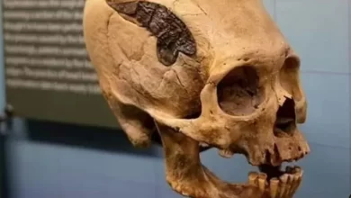 2000 year old skull found in Peru