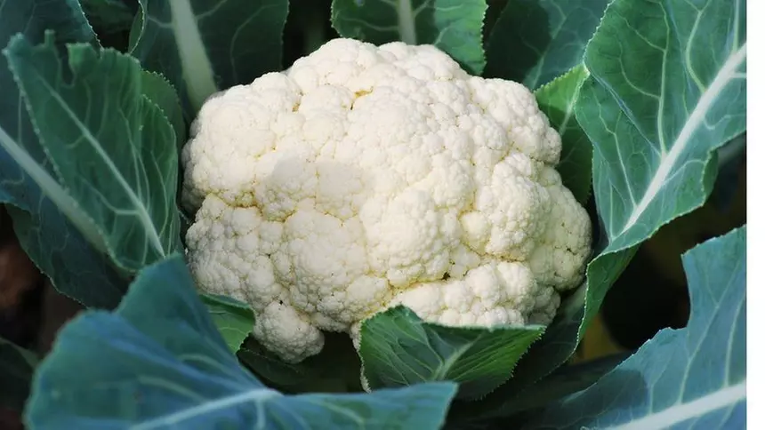 5 vegetables that are good for strengthening immunity in winter 1