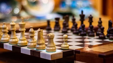 A Harvard Mathematician Has Basically Solved an Epic 150 Year Old Chess Problem
