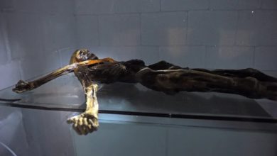 A woman from Austrian Styria turned out to be 300 years older than the ancient Otzi 1