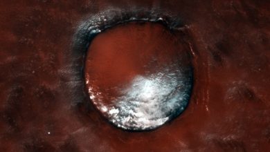 An orbiter sent an unusual picture of an ice crater from Mars