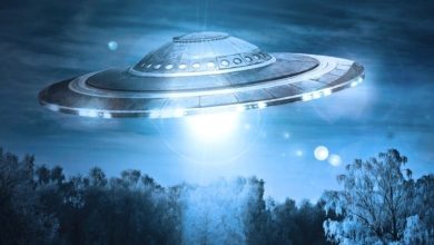 An unusual UFO captured by an Air Force veteran in South Carolina VIDEO 1