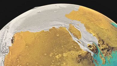 Ancient Mars could have been wet but cold three billion years ago