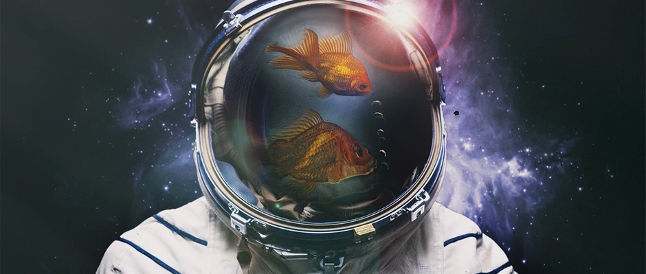 Animal astronauts Why other lifeforms will be crucial to humans living off Earth 1