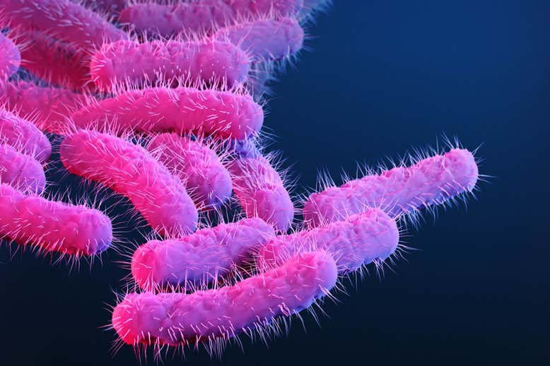 Antibiotic resistance kills more than a million people a year