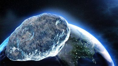 Apophis could damage Earths satellites expert says