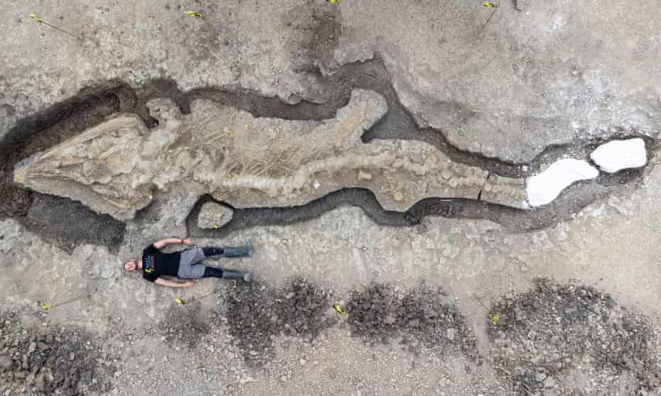 Archaeologists have found a giant skeleton of a sea monster