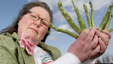 Asparagus fortune teller from Britain makes predictions for 2022
