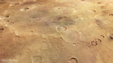 Constant asteroid showers destroy previous ideas about the craters of Mars 1