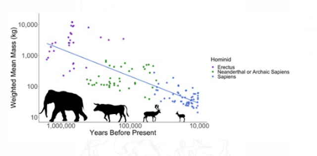 Early Humans Hunted The Largest Available Animals To Extinction For 1 5 Million Years 1