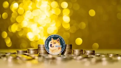 Elon Musks company allowed to buy goods for dogecoins 1