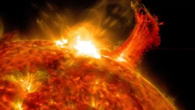 Flashes occurred on the Sun Magnetic storms will cover the Earth