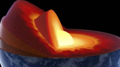 Fragments of early Earth found in the lower mantle