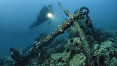 Ghost ship missing in the 17th century was discovered in the USA