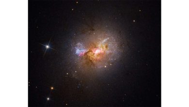 Hubble discovers black hole spurring star formation in dwarf galaxy