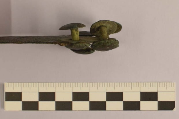 Locals found a bronze dagger over 3 200 years old in Slovakia 2