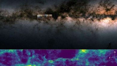 Longest known hydrogen cloud in the Milky Way discovered