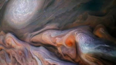 Mystery of Jupiters polar cyclones solved using ocean physics