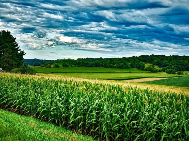 NASA has warned that climate change will soon hit agriculture 1