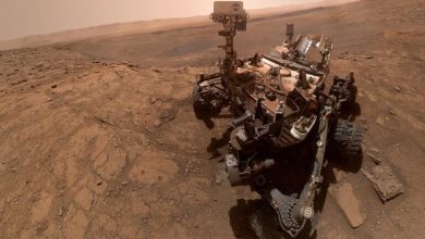 NASAs Curiosity rover has discovered new organic molecules 1