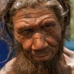 Neanderthals are responsible for intestinal and vascular diseases
