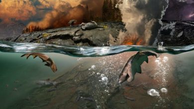 Scientists have found new factors of the Triassic extinction 1