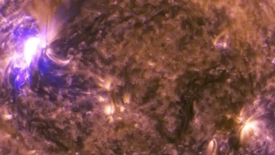 Two solar flares have just erupted on the Sun causing coronal mass ejections 1