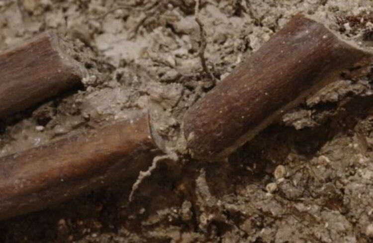 Under the church of the XI century found a skeleton with broken bones 3