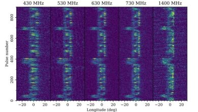Unusual emission from the pulsar PSR B1859 07 studied using the FAST telescope