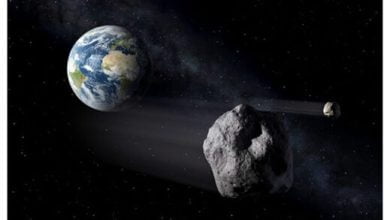 When it comes to mass extinction the size of meteorites doesnt matter