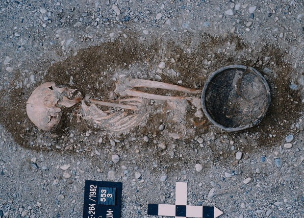 ancient inhabitants of Austria took into account the gender of the children when they were buried 2